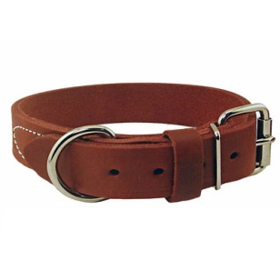 Dog Collar